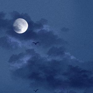 游泳教练伸进含奶摸爽69
